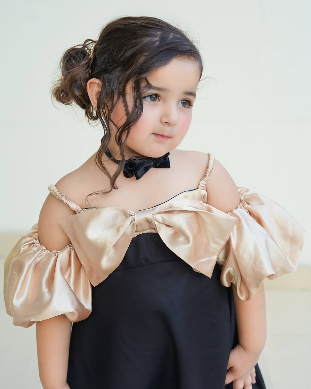 Bella Elegant Party Wear Princess Gown