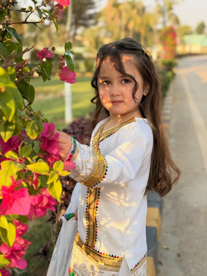 Meherzain Joyful Rainbow Sharara Set