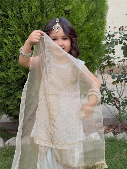 Graceful Festive Moments Kurti Sharara Set