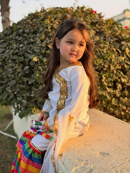 Meherzain Joyful Rainbow Sharara Set