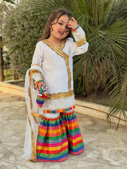 Meherzain Joyful Rainbow Sharara Set