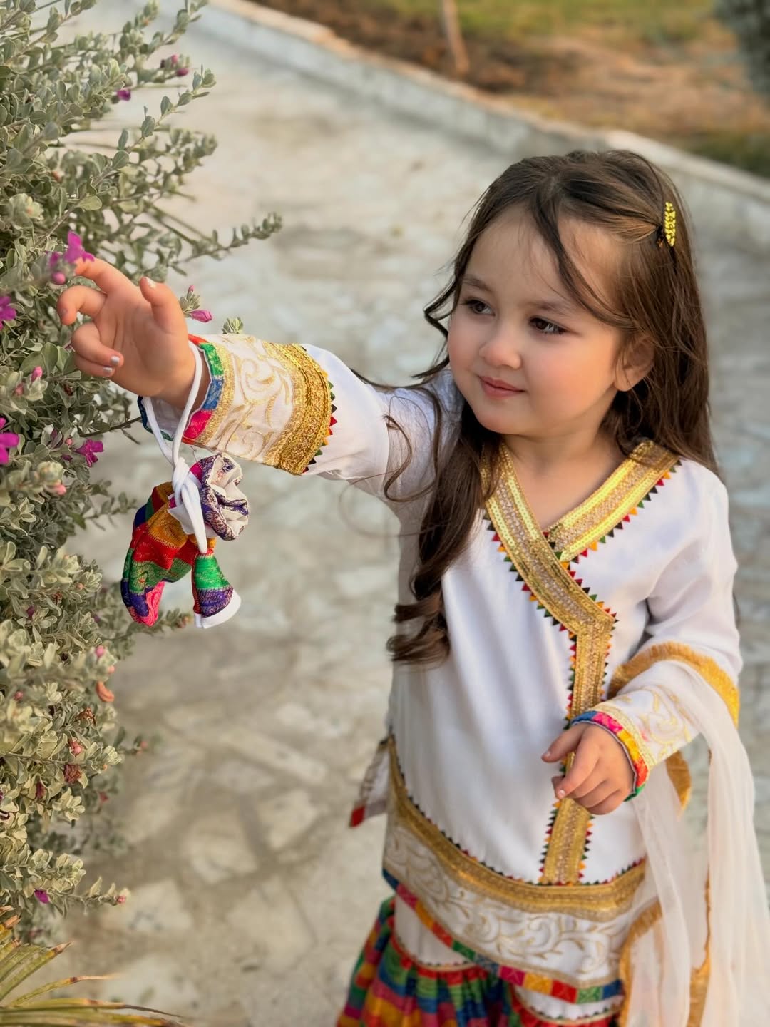 Meherzain Joyful Rainbow Sharara Set