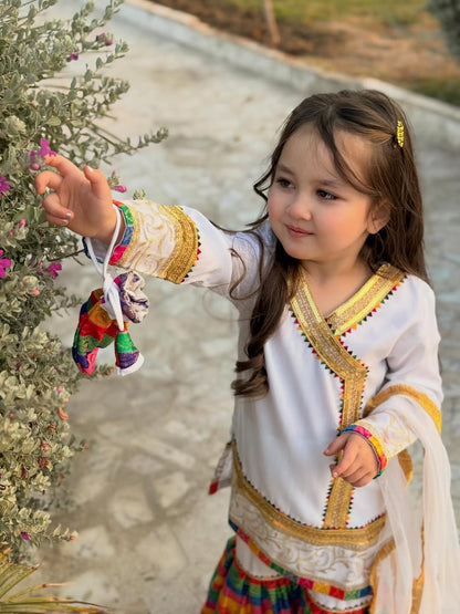 Meherzain Joyful Rainbow Sharara Set
