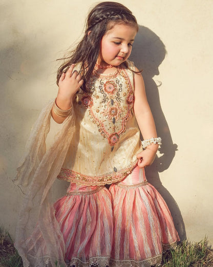 Royal Meher Embroidered Kurti Sharara Set