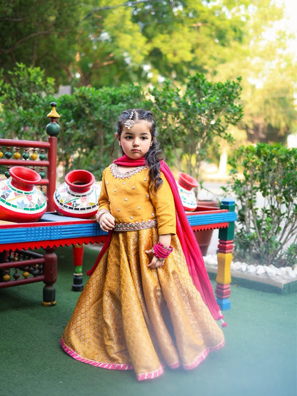 Meher Gulzar Royal Lehenga Choli