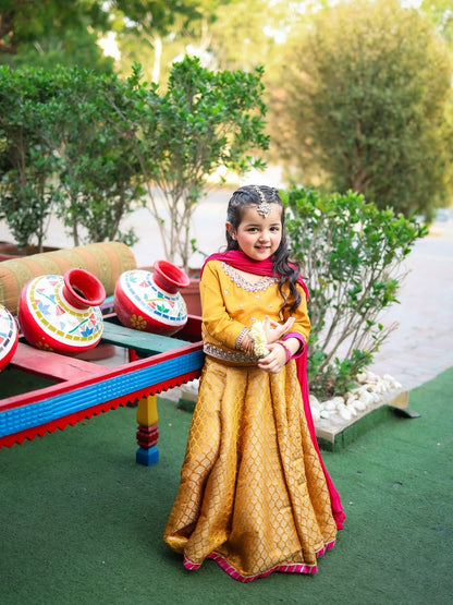 Meher Gulzar Royal Lehenga Choli