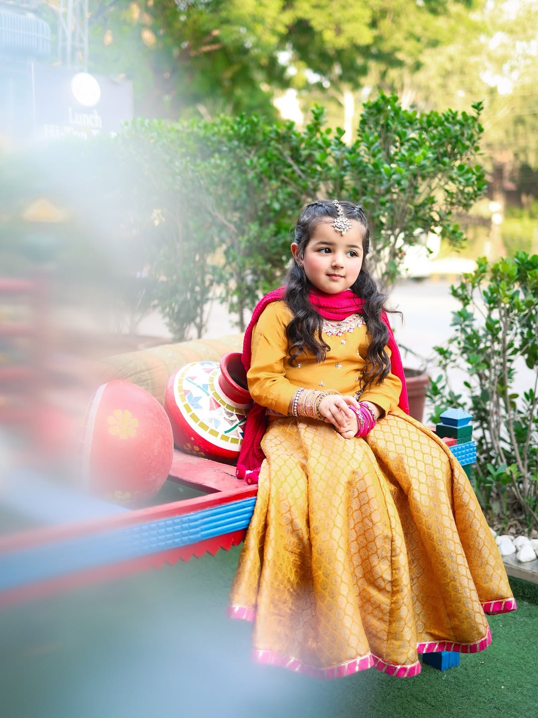 Meher Gulzar Royal Lehenga Choli