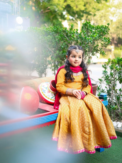 Meher Gulzar Royal Lehenga Choli