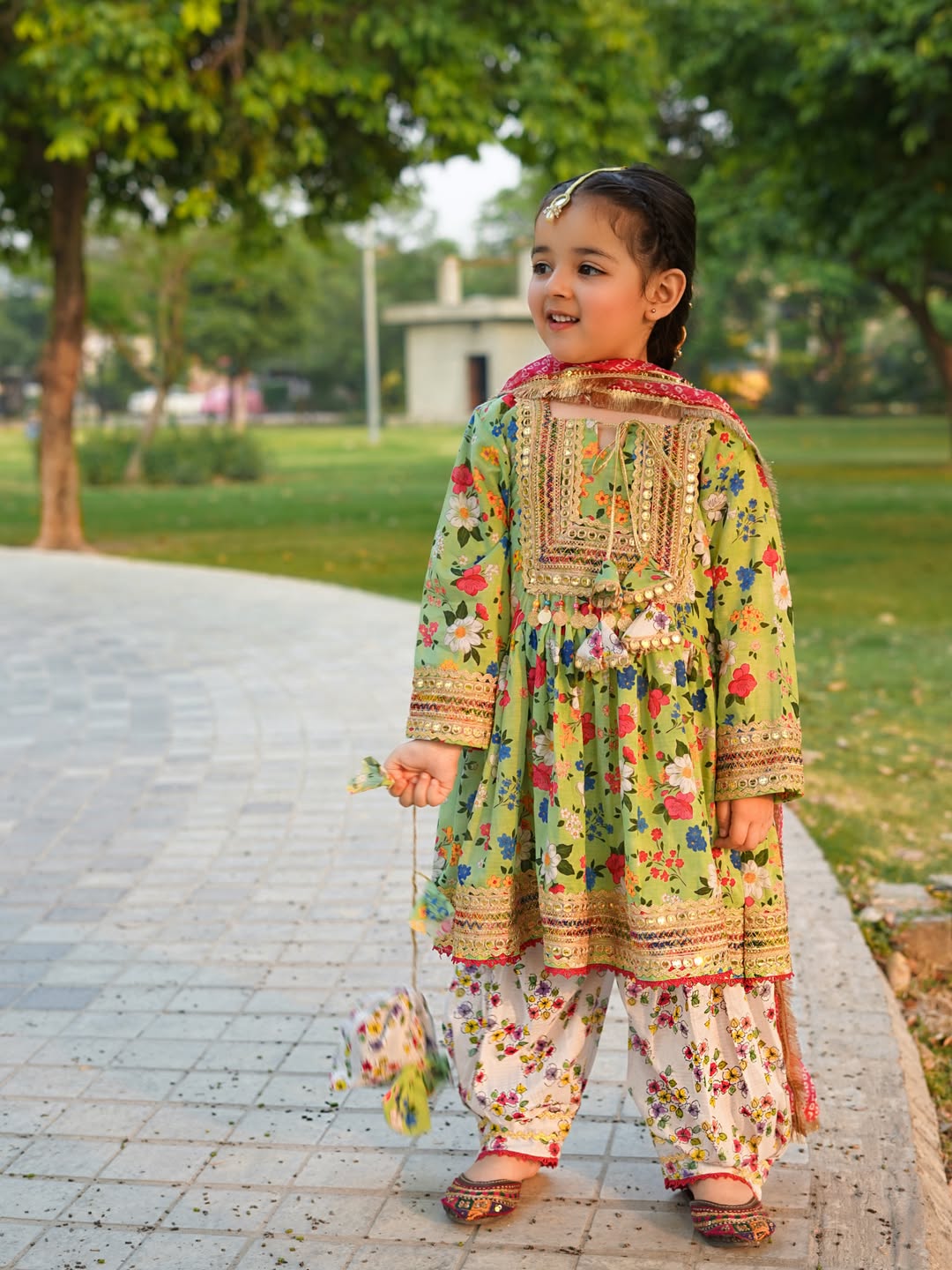 Noor Festive Printed Sharara Suit