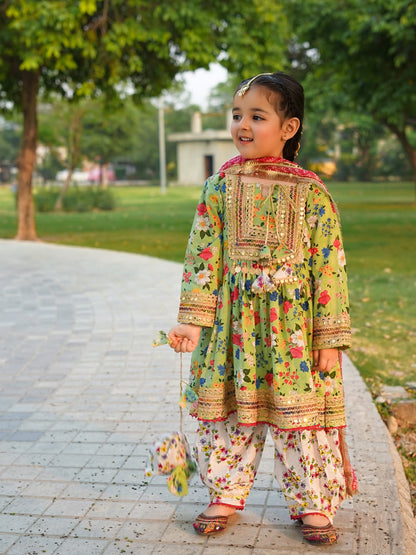 Noor Festive Printed Sharara Suit