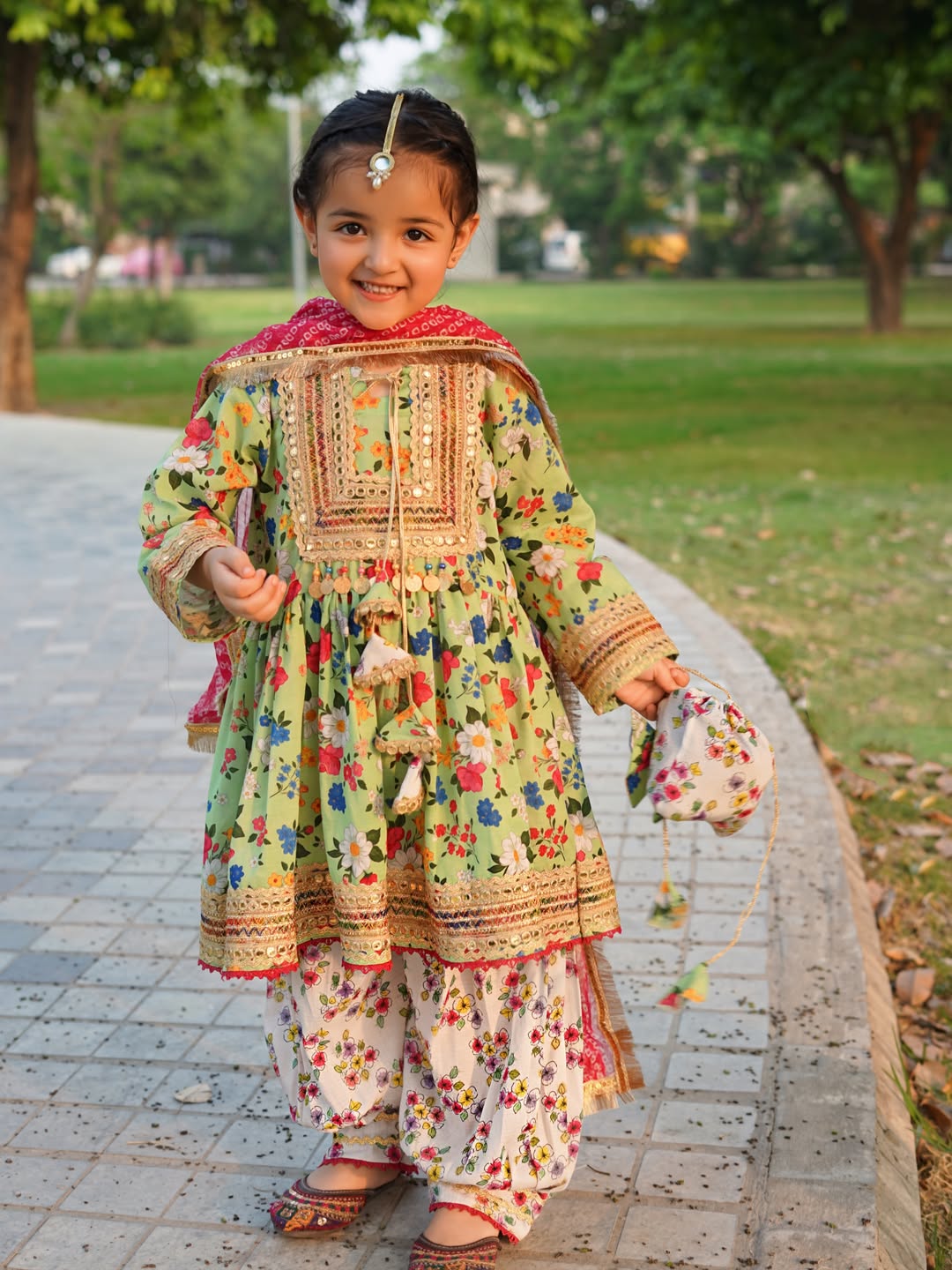Noor Festive Printed Sharara Suit