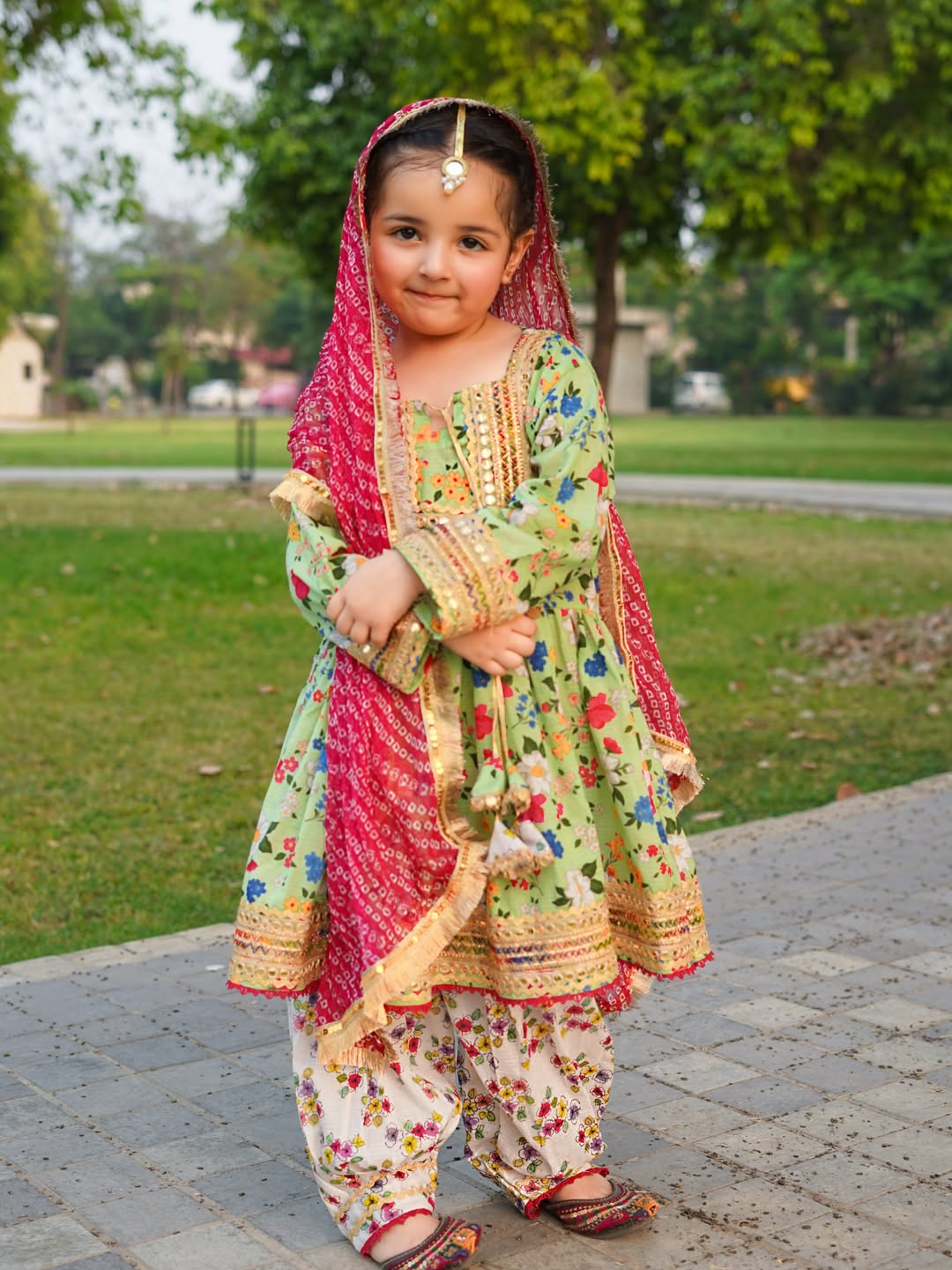Noor Festive Printed Sharara Suit