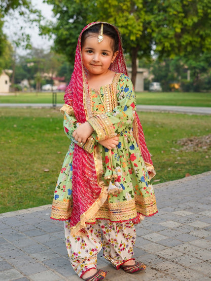 Noor Festive Printed Sharara Suit