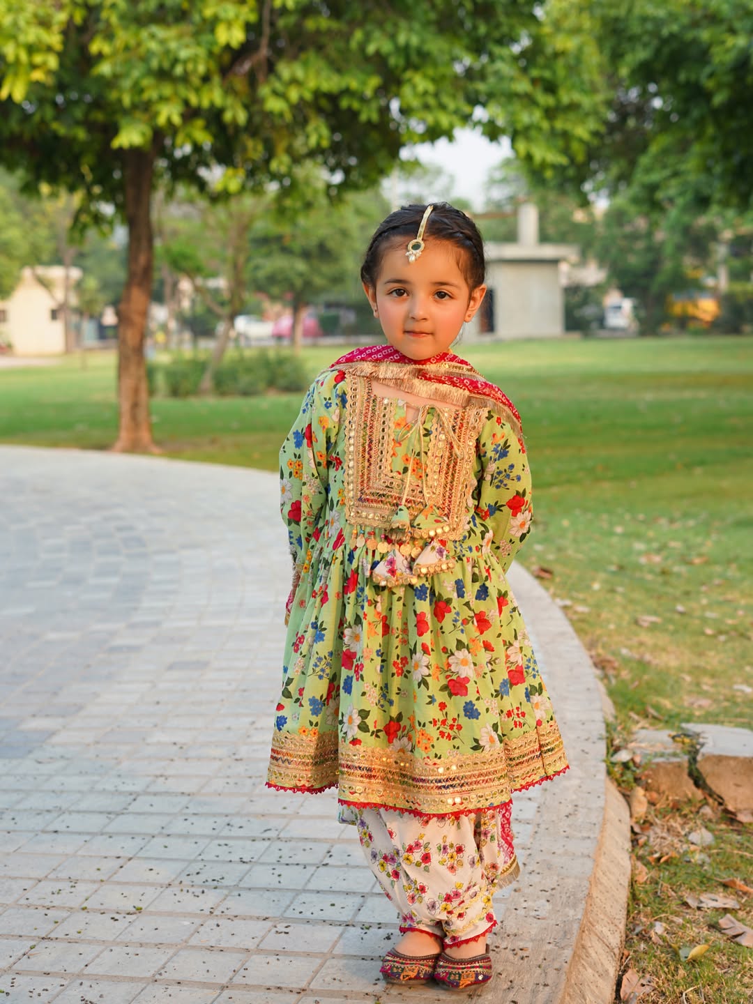 Noor Festive Printed Sharara Suit