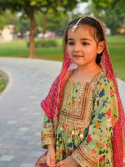 Noor Festive Printed Sharara Suit