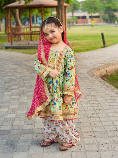 Noor Festive Printed Sharara Suit