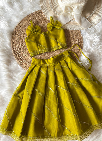 Cross Sequence zari Lehenga