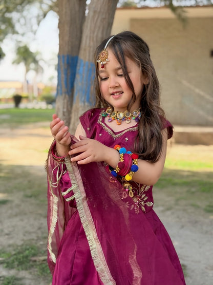 Meherzaadi Designer Lehenga Look