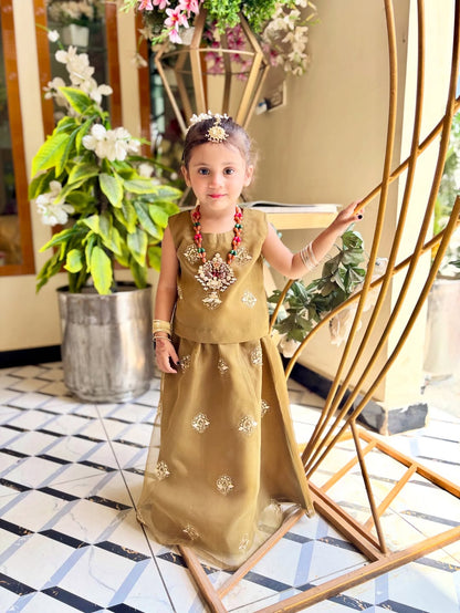 Royal Heritage Traditional Lehenga Choli Set