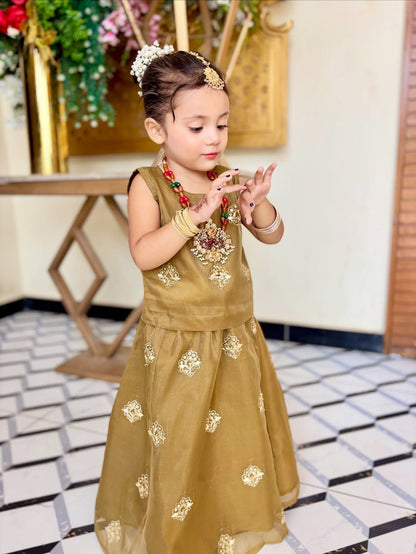 Royal Heritage Traditional Lehenga Choli Set