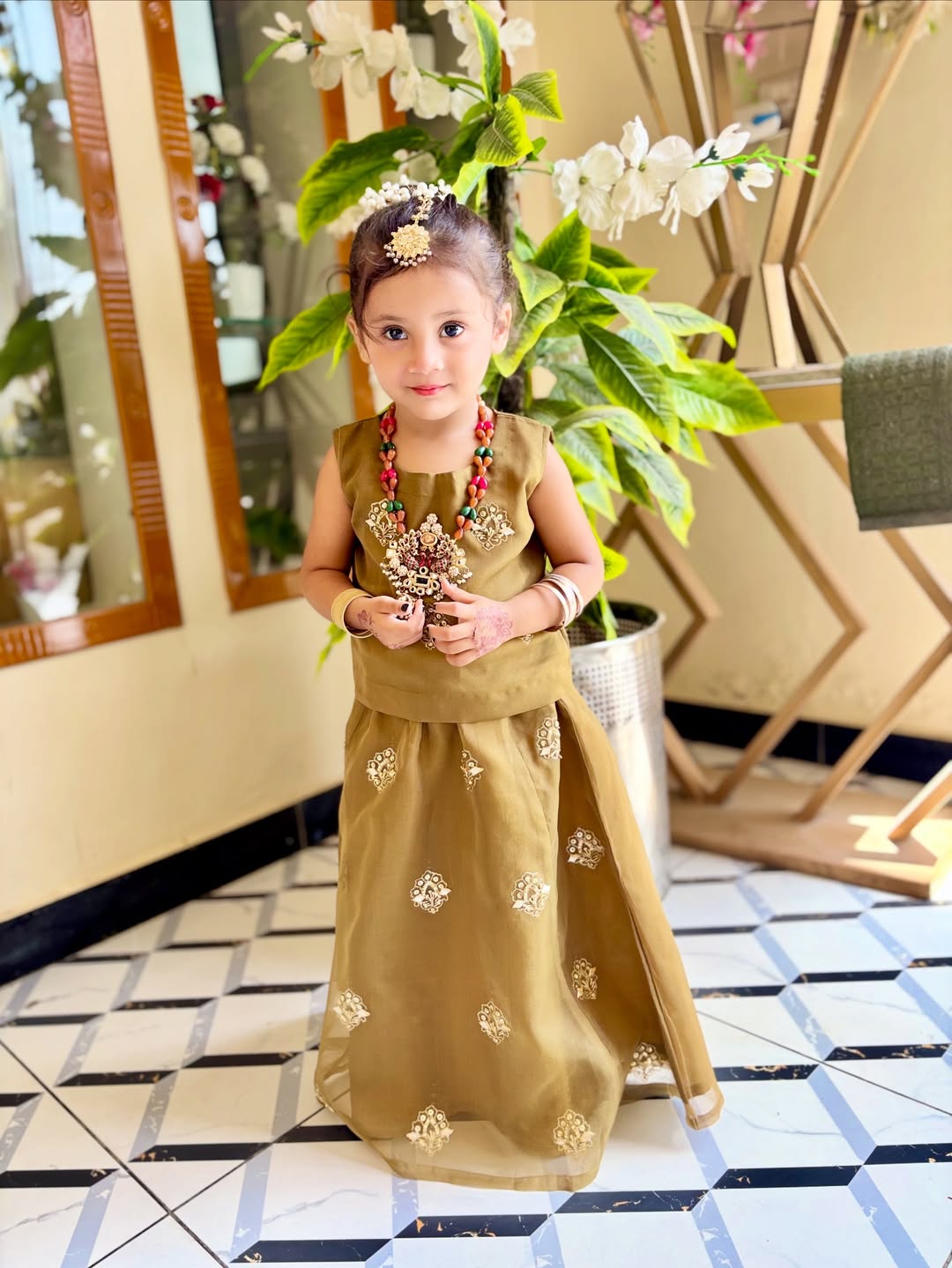 Royal Heritage Traditional Lehenga Choli Set