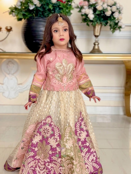 Royal Meher Bridal Style Lehenga Choli