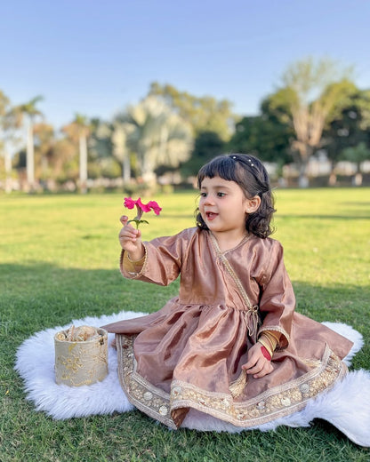 Royal Festive Look Vintage Grace Traditional Sharara Set