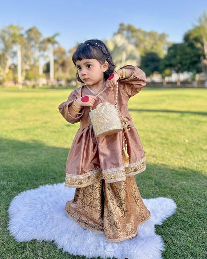 Royal Festive Look Vintage Grace Traditional Sharara Set