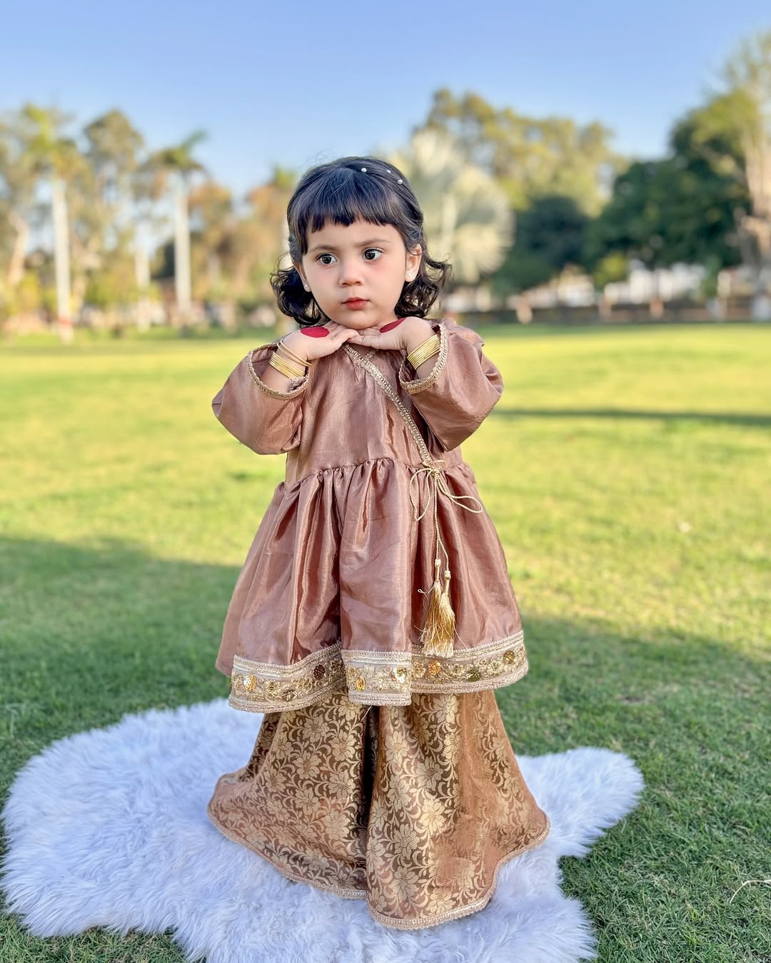 Royal Festive Look Vintage Grace Traditional Sharara Set