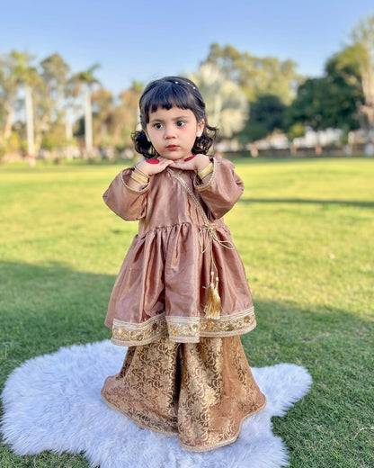 Royal Festive Look Vintage Grace Traditional Sharara Set