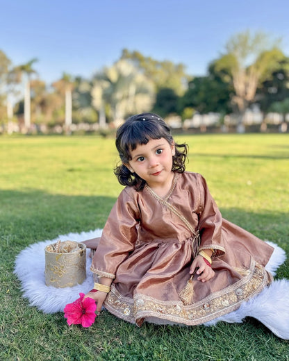 Royal Festive Look Vintage Grace Traditional Sharara Set