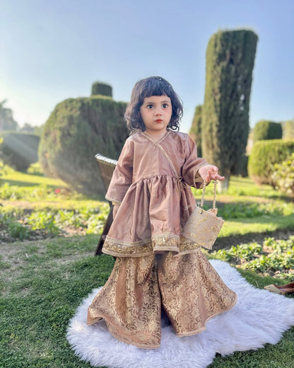 Royal Festive Look Vintage Grace Traditional Sharara Set