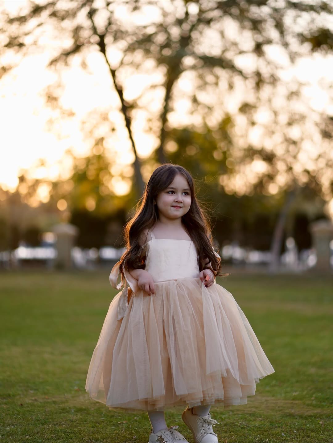 Moonelle Fairy Twirl Gown