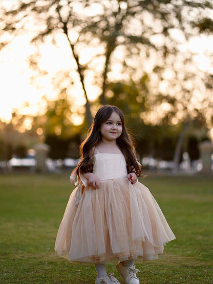 Moonelle Fairy Twirl Gown