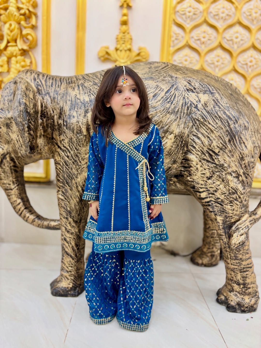 Royal Meher Traditional Sharara Set