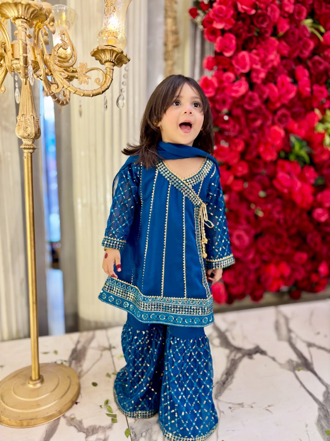 Royal Meher Traditional Sharara Set