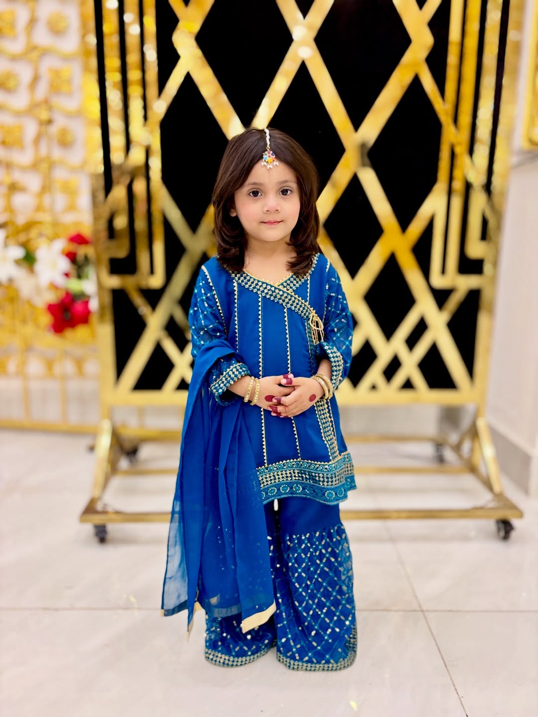 Royal Meher Traditional Sharara Set