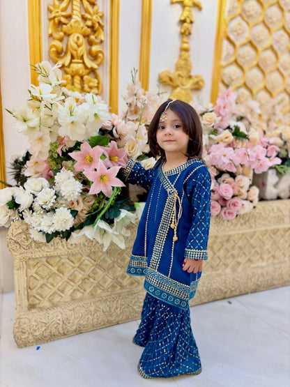 Royal Meher Traditional Sharara Set