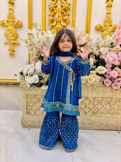 Royal Meher Traditional Sharara Set