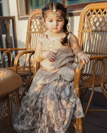 Kiara Royal Dune Sharara Set