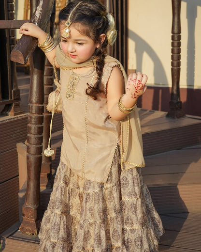 Kiara Royal Dune Sharara Set