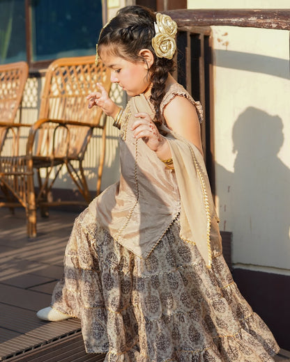 Kiara Royal Dune Sharara Set