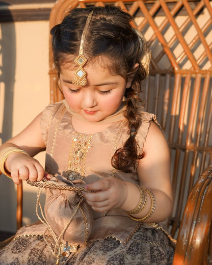 Kiara Royal Dune Sharara Set