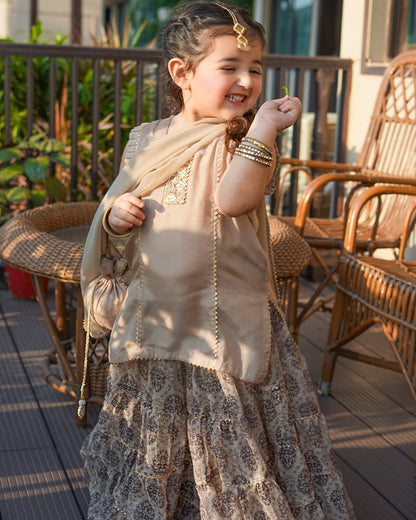 Kiara Royal Dune Sharara Set