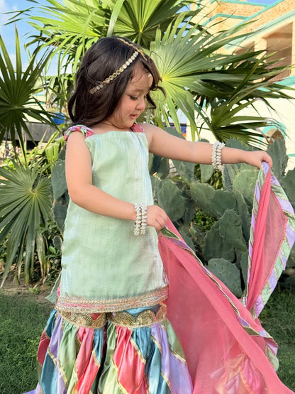 Aarika Royal Pastel Sharara Set