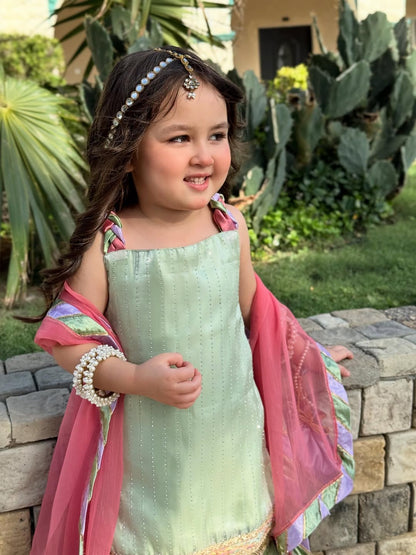 Aarika Royal Pastel Sharara Set