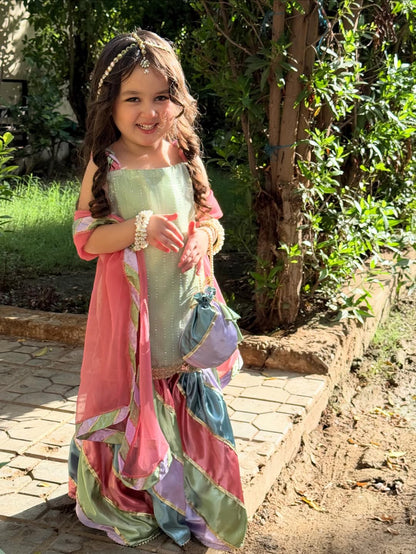 Aarika Royal Pastel Sharara Set