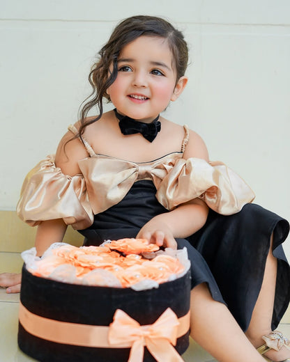Bella Elegant Party Wear Princess Gown