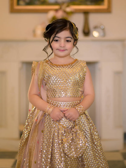 Aafreen Princess Festive Lehenga Set
