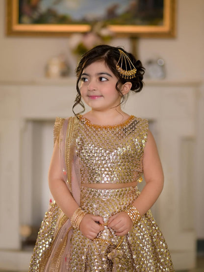 Aafreen Princess Festive Lehenga Set